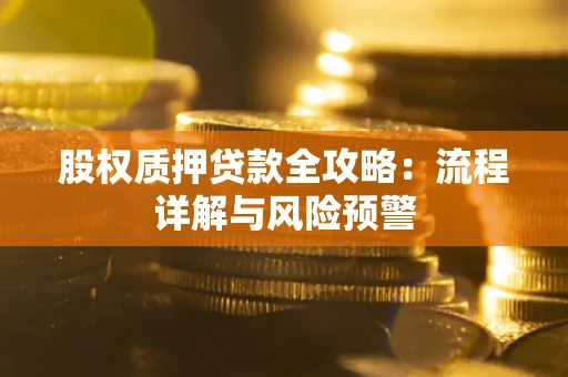 北京股权质押贷款全攻略：流程详解与风险预警