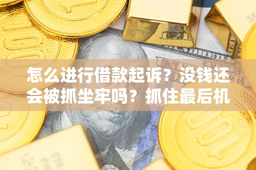 北京怎么进行借款起诉？没钱还会被抓坐牢吗？抓住最后机会！