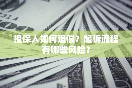 北京担保人如何追偿？起诉流程有哪些风险？