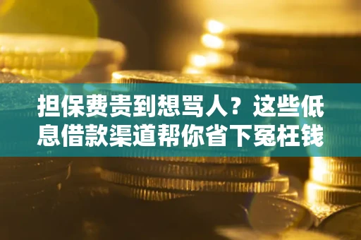 北京担保费贵到想骂人？这些低息借款渠道帮你省下冤枉钱