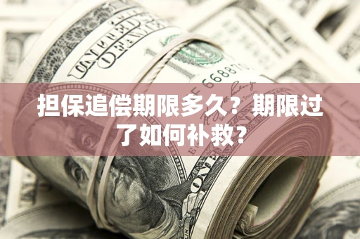 北京担保追偿期限多久？期限过了如何补救？