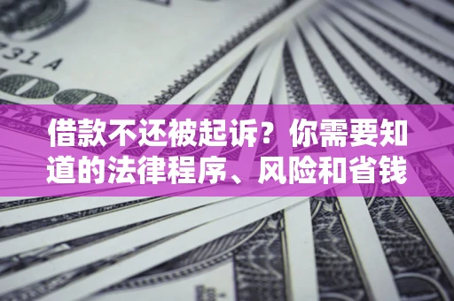 北京借款不还被起诉？你需要知道的法律程序、风险和省钱技巧